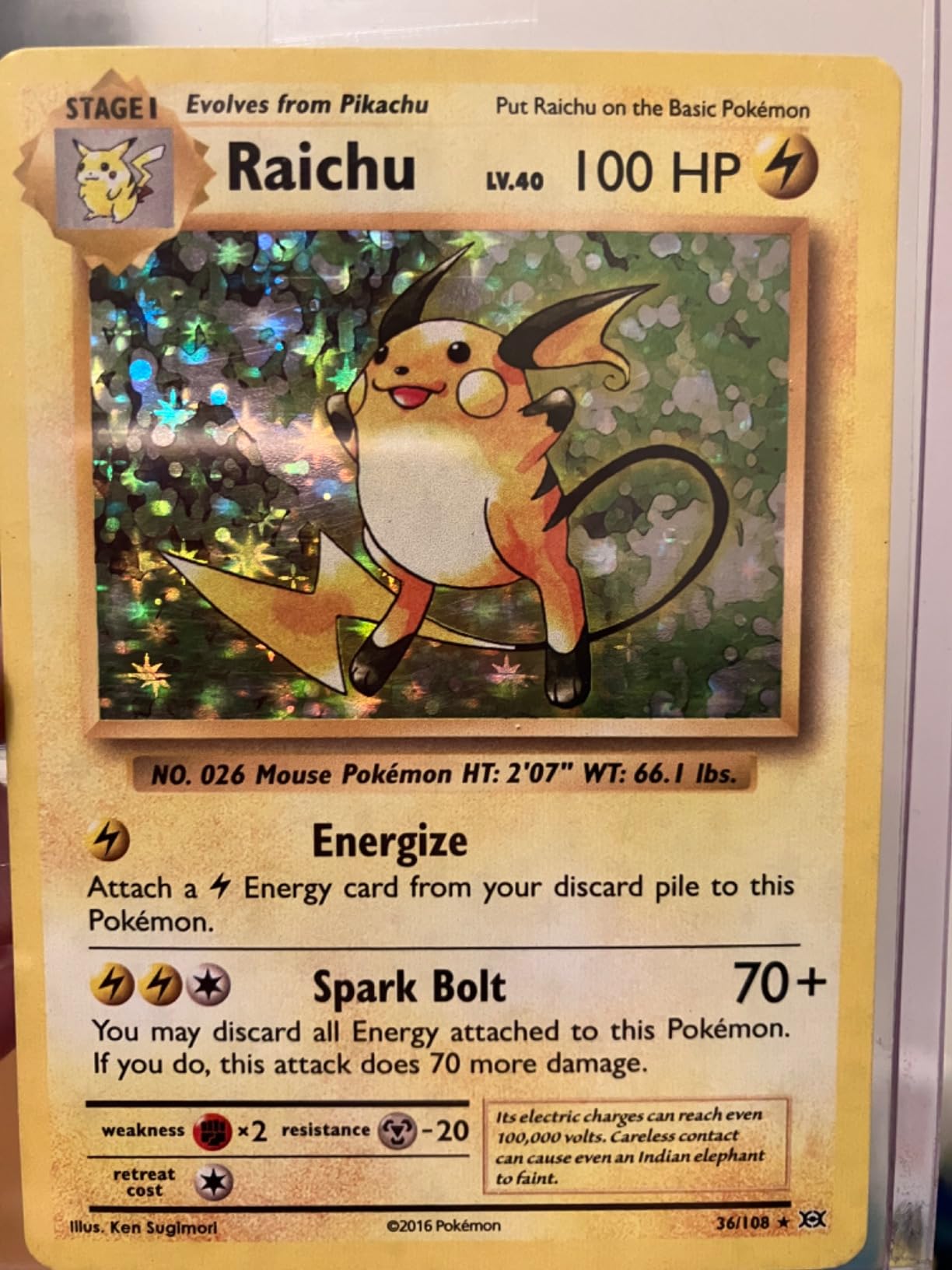 Pokemon - Raichu (36/108) - XY Evolutions - Holo Liberia | Ubuy